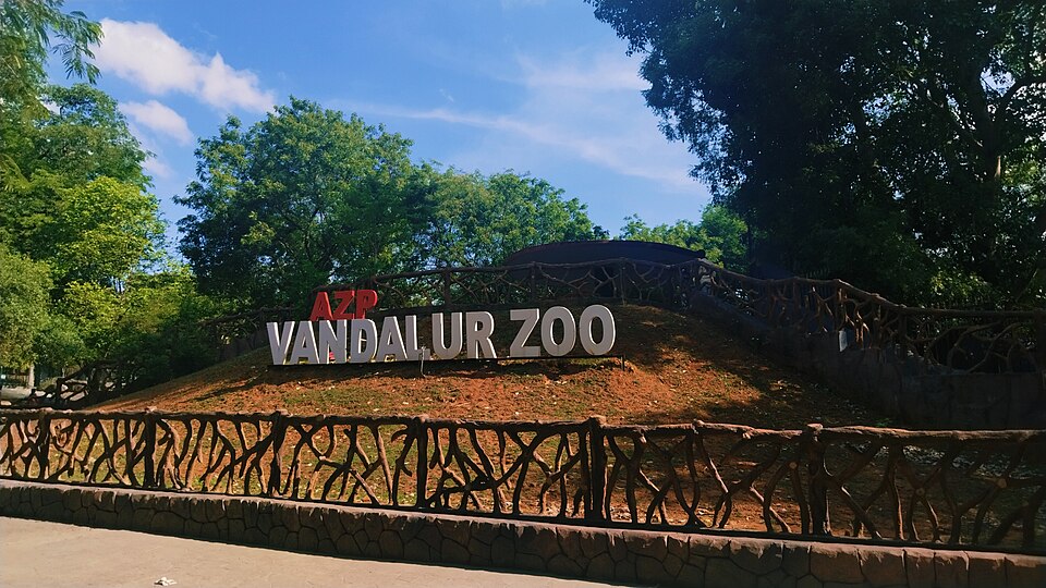 Vandalur (Photo: Wikimedia Commons contributors, CC BY-SA 4.0)