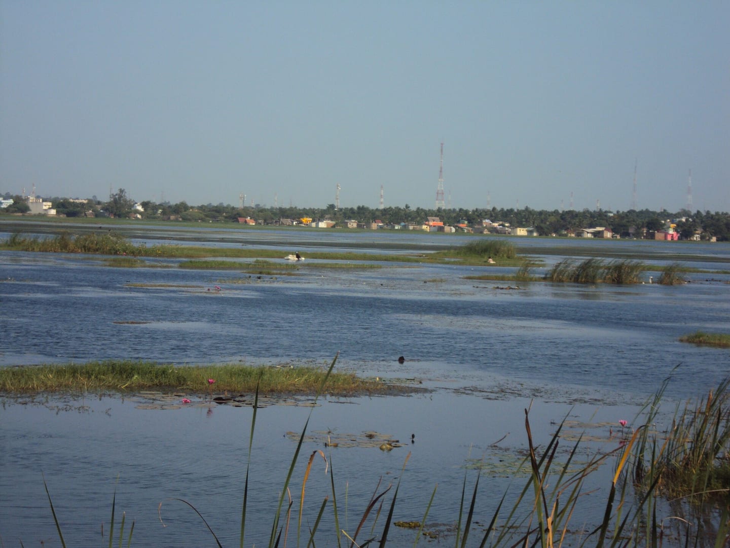 Ambattur Lake (Photo: பரிதிமதி, Public Domain)