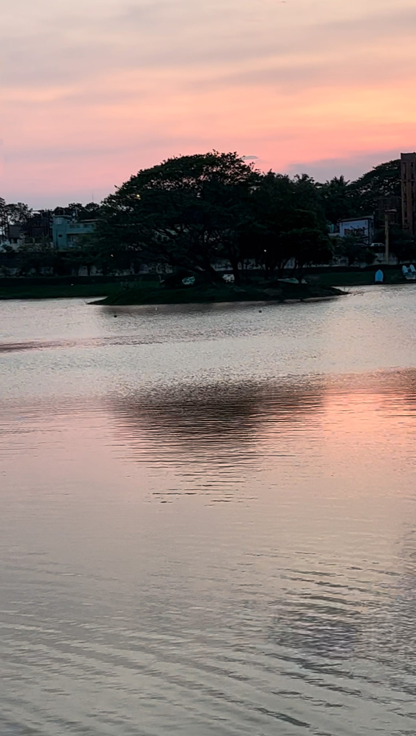 Chetpet Lake (Chetpet Eco Park) (Photo: WikiSantaClaus, CC BY 4.0)