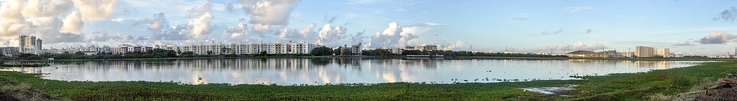 Pallikaranai Marshland (Photo: Timothy A. Gonsalves, CC BY-SA 4.0)