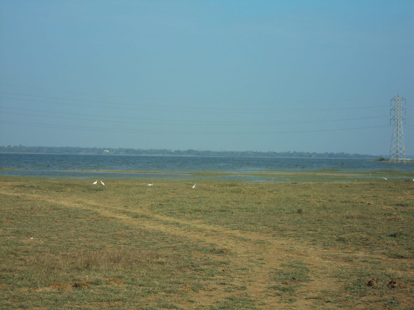 Puzhal Lake (Red Hills Reservoir) (Photo: பரிதிமதி, CC BY-SA 3.0)