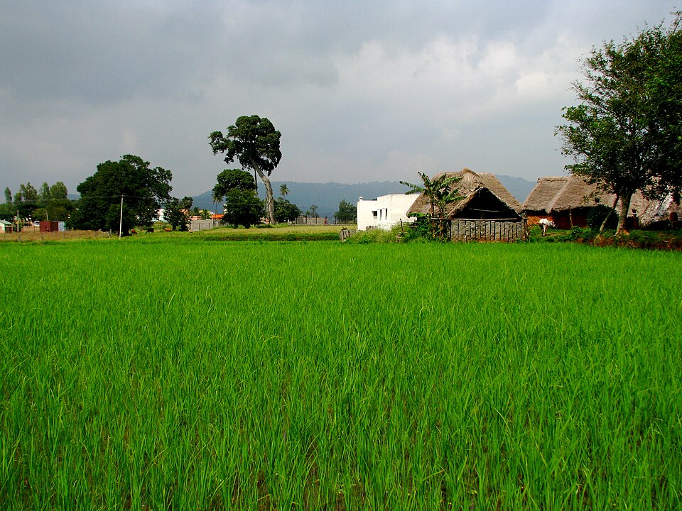Yelagiri Hills